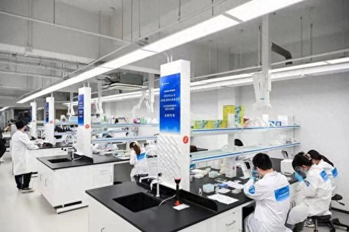 2023年寶山區生物醫藥職業技能競賽個人決賽 聚焦生物化工產品技術研發，激發行業創新活力