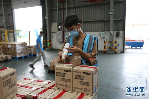 開放不息，海淘不止 疫情防控常態(tài)化下的廣州對外開放與海淘物流之路