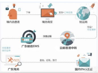 圖說海淘 個人包裹直郵進口清關代理、行郵清關與深圳物流服務全解析，助您找到便宜高效的海淘物流方案